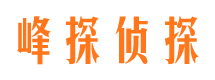 阳春找人公司